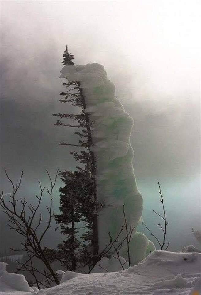 B324A59C-4934-4C68-9227-DFE57C54105F